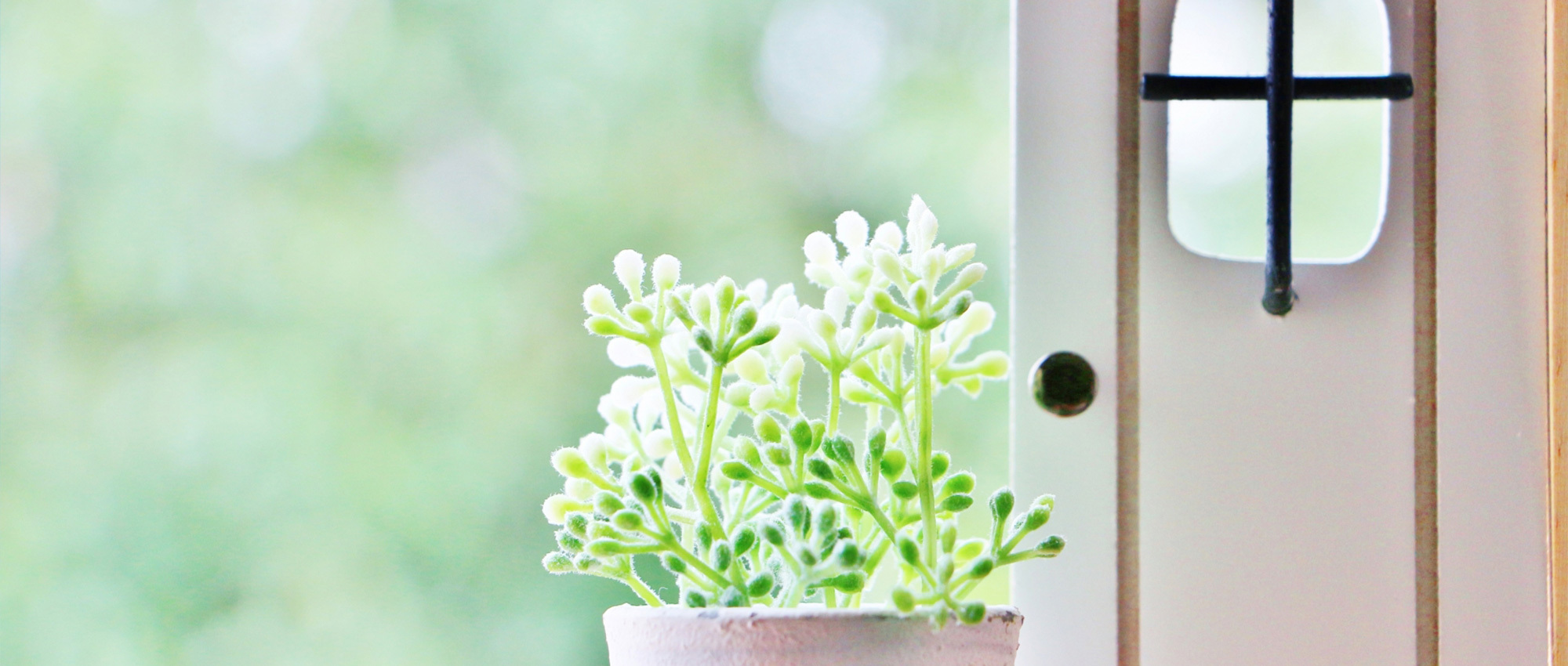 宇都宮市野沢町、弁天橋停留所、調剤薬局